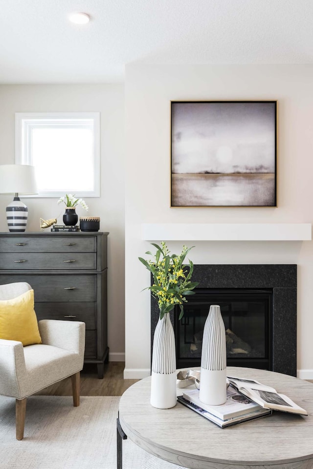 sitting room featuring hardwood / wood-style flooring