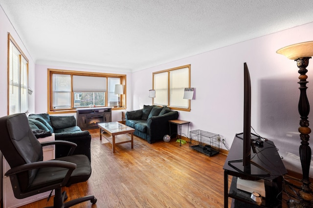 living room with light hardwood / wood-style floors and a textured ceiling