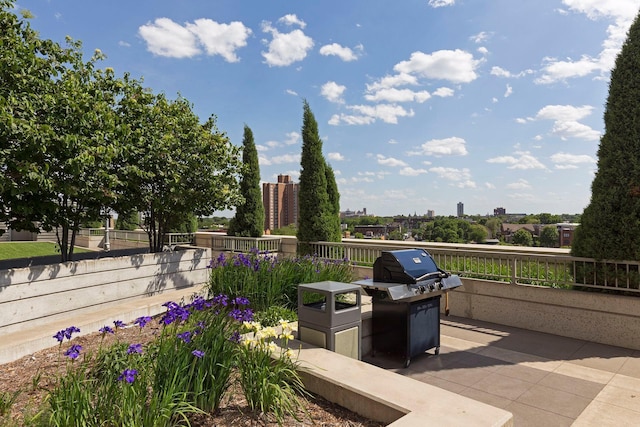 view of patio / terrace with area for grilling