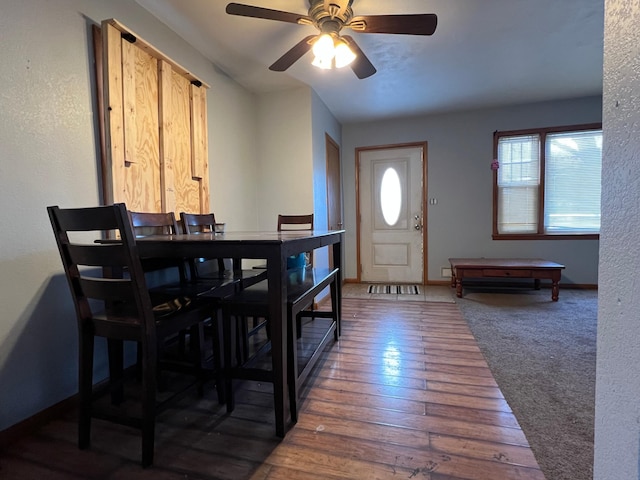 dining space with dark hardwood / wood-style floors, ceiling fan, and a healthy amount of sunlight