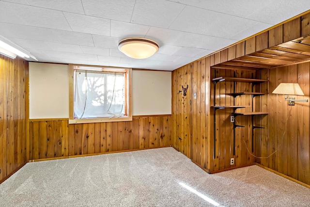 empty room featuring wooden walls and carpet floors