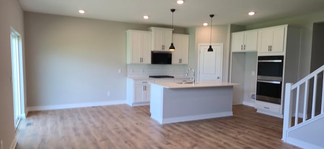 3959 Founders Path, Chaska, MN 55318 - photo 11