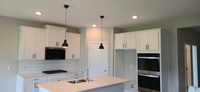 3959 Founders Path, Chaska, MN 55318 - photo 3