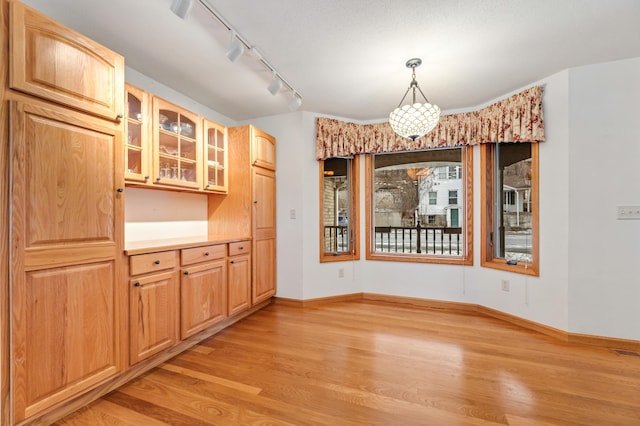 unfurnished dining area featuring light hardwood / wood-style floors and rail lighting