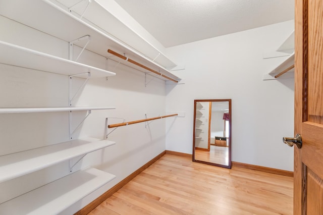 spacious closet featuring light wood-type flooring