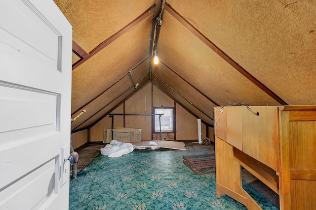 additional living space with carpet, a textured ceiling, and lofted ceiling