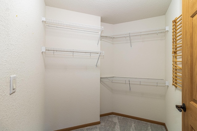 spacious closet with carpet flooring