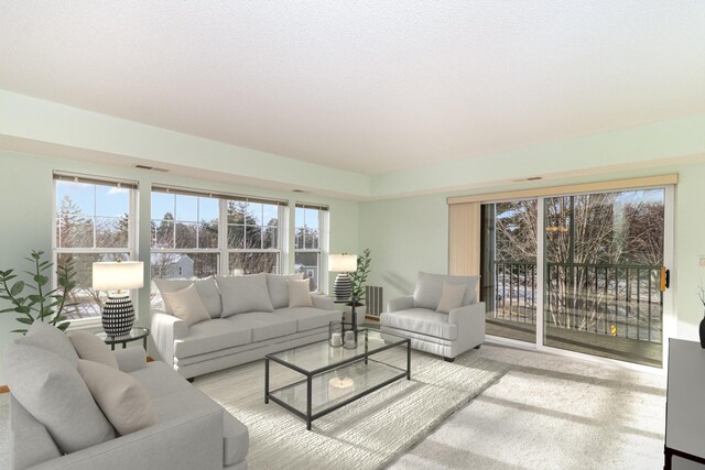 935 Ferndale St N Unit 210, Maplewood, MN 55119 - photo 3