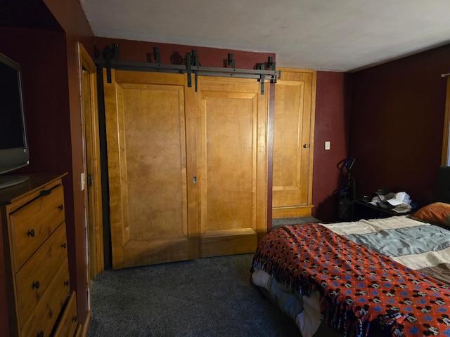 bedroom featuring dark carpet and a closet