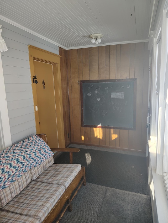 interior space with wood walls and carpet flooring