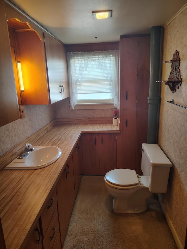 bathroom featuring toilet and vanity