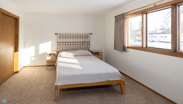 bedroom with carpet flooring