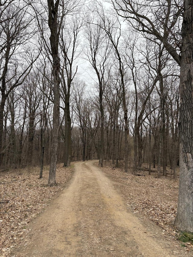 9104 Rachel Shrs SW, Holmes City Twp, MN 56327 - view of road featuring a wooded view