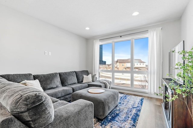 living room featuring wood finished floors and recessed lighting