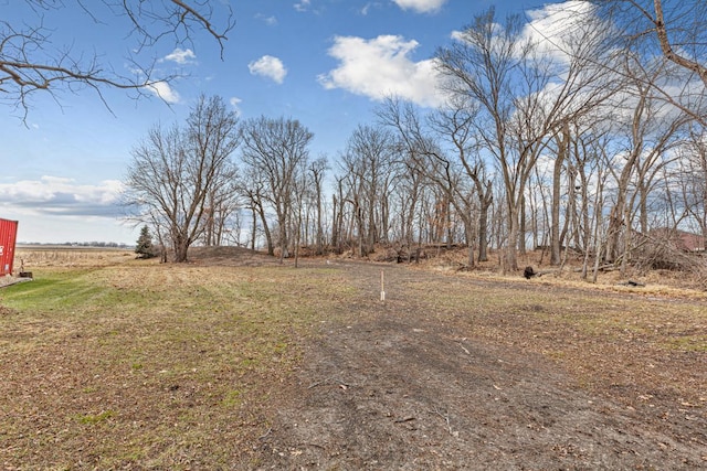 view of yard with a rural view