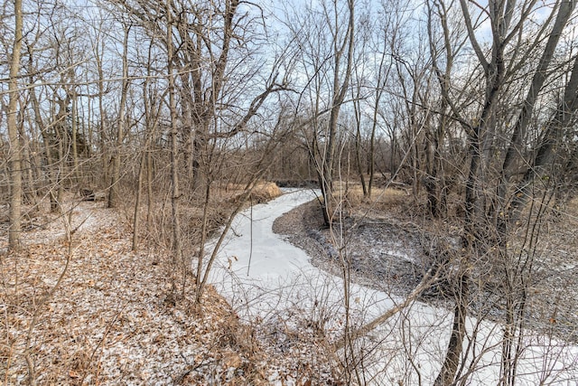 view of water feature