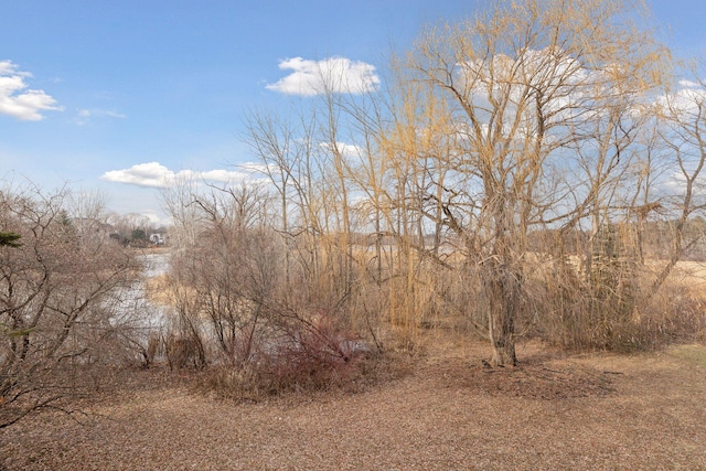 view of local wilderness