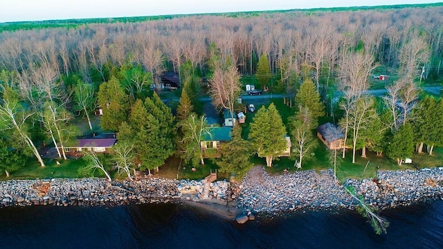 6502 Birch Beach Dr NW, Williams, MN 56686 - bird's eye view of a heavily wooded area and a nearby body of water