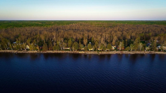 6502 Birch Beach Dr NW, Williams, MN 56686 - view of property location with a forest and a large body of water