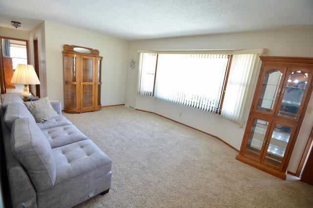 carpeted living room with a textured ceiling