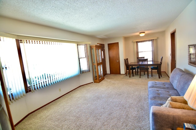 carpeted living room with a textured ceiling