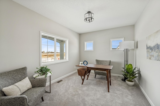 view of carpeted home office