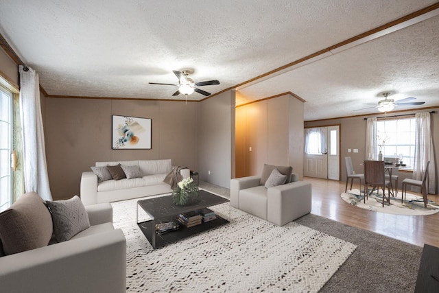 living room with hardwood / wood-style flooring, ceiling fan, crown molding, and a textured ceiling