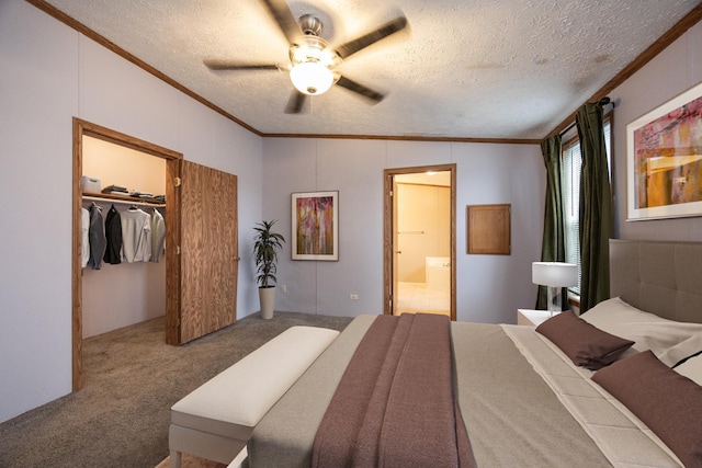 bedroom featuring ceiling fan, a spacious closet, carpet floors, a textured ceiling, and ornamental molding