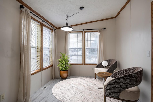 living area featuring a textured ceiling, lofted ceiling, and ornamental molding