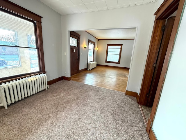 carpeted empty room with radiator and a wealth of natural light