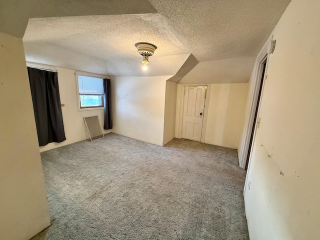 interior space with carpet flooring and a textured ceiling