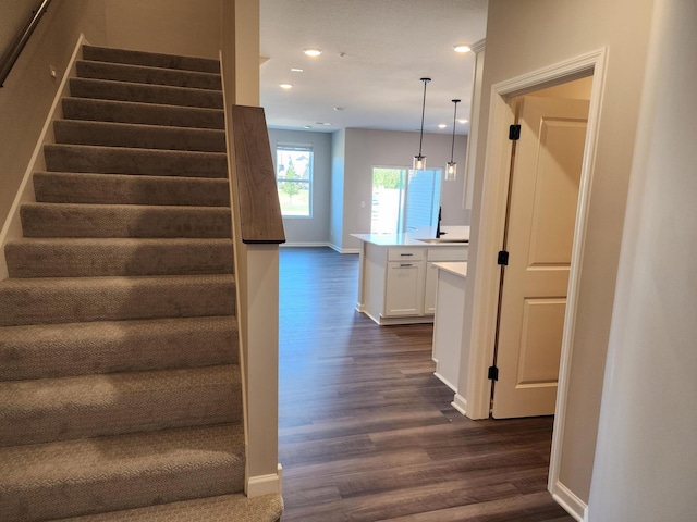 staircase featuring hardwood / wood-style floors