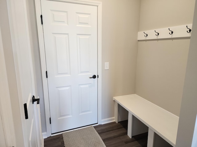 mudroom with dark wood-type flooring