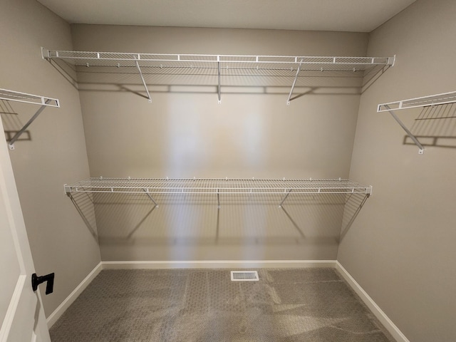 walk in closet featuring carpet