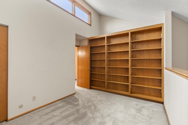 carpeted spare room featuring a textured ceiling and high vaulted ceiling