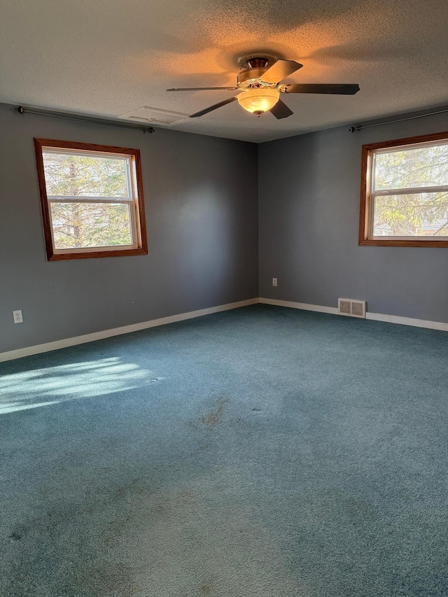 empty room with a wealth of natural light, carpet, and a textured ceiling