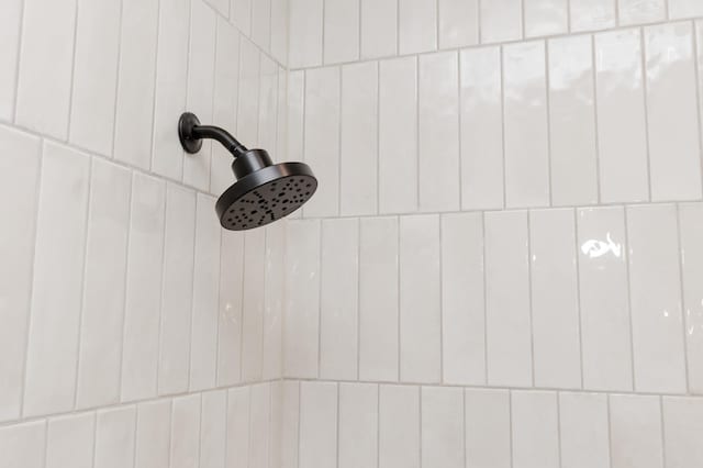 100 3rd Ave, Pelican Rapids, MN 56572 - bathroom view of a tile shower