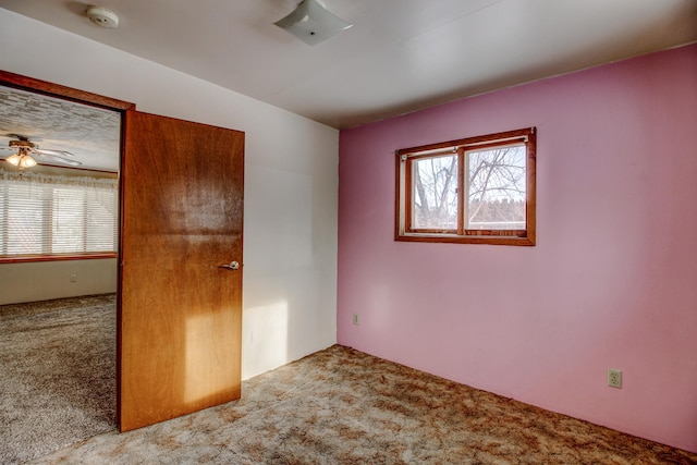 unfurnished bedroom with multiple windows and carpet