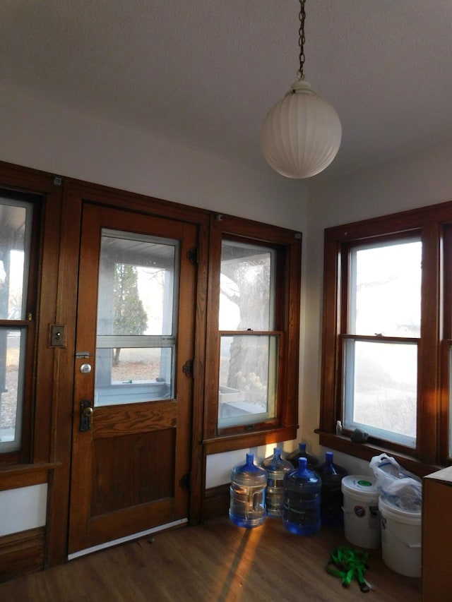 entryway with plenty of natural light and dark wood-type flooring