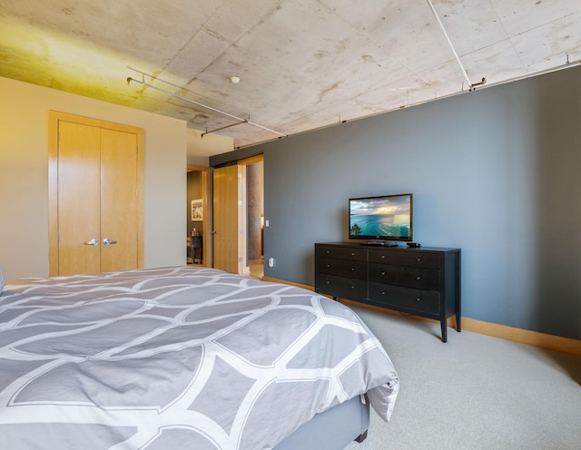 bedroom featuring carpet and a closet