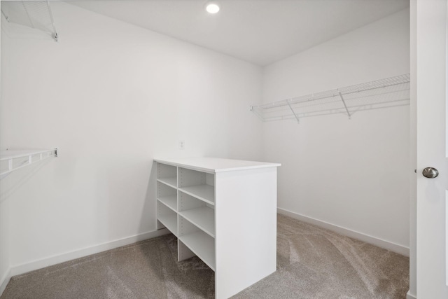 spacious closet with carpet flooring