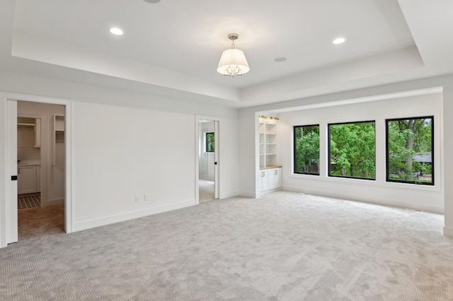 spare room featuring a raised ceiling and light colored carpet