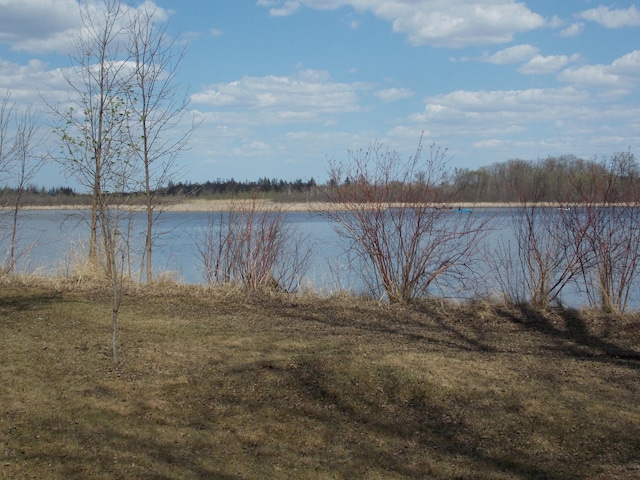 view of water feature