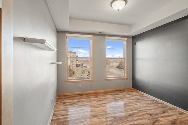 unfurnished room featuring a raised ceiling and light hardwood / wood-style floors