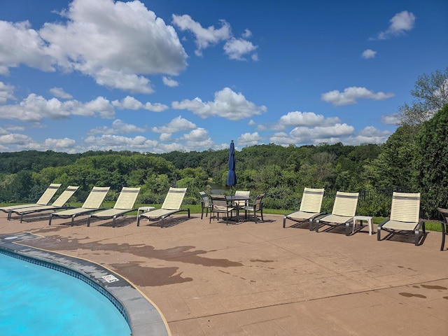 view of swimming pool featuring a patio