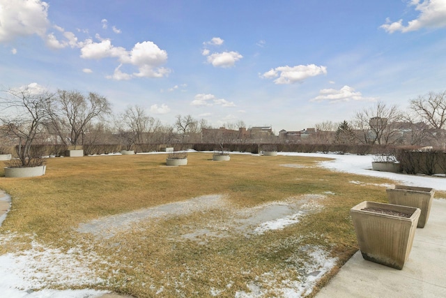 1920 1st St Unit 905, Minneapolis, MN 55454 - photo 49