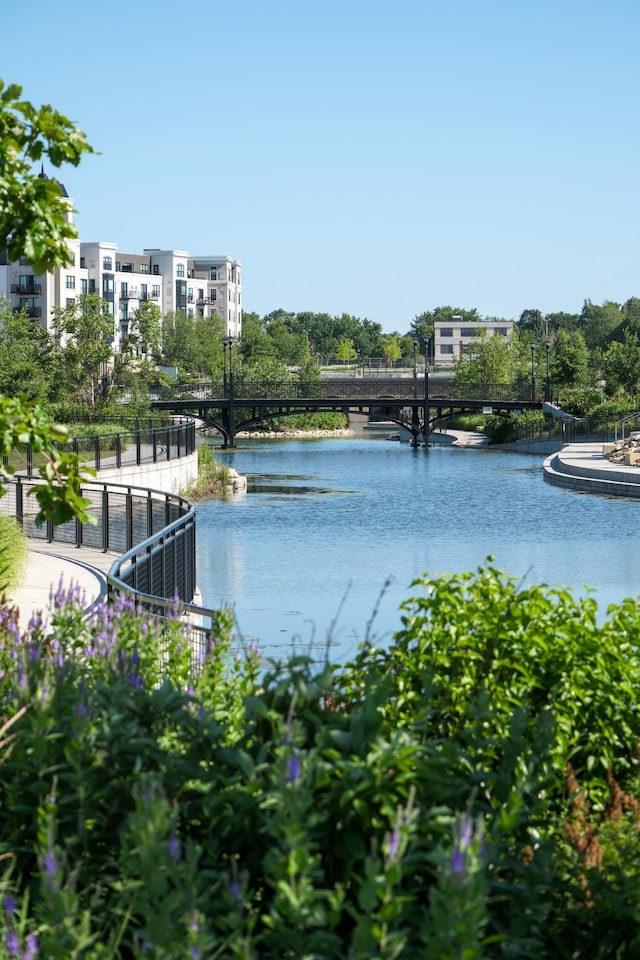 view of water feature