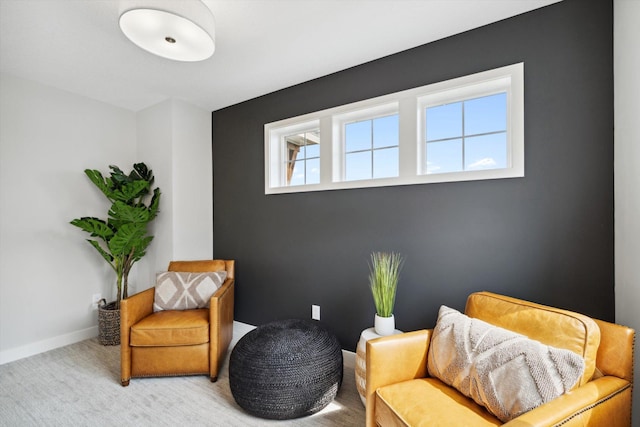 sitting room with carpet floors