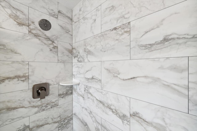 interior details featuring a tile shower