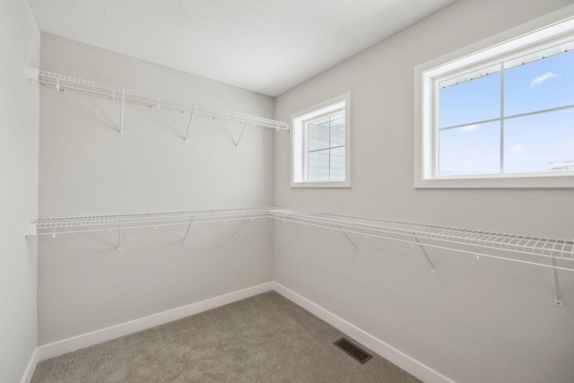 walk in closet with carpet flooring